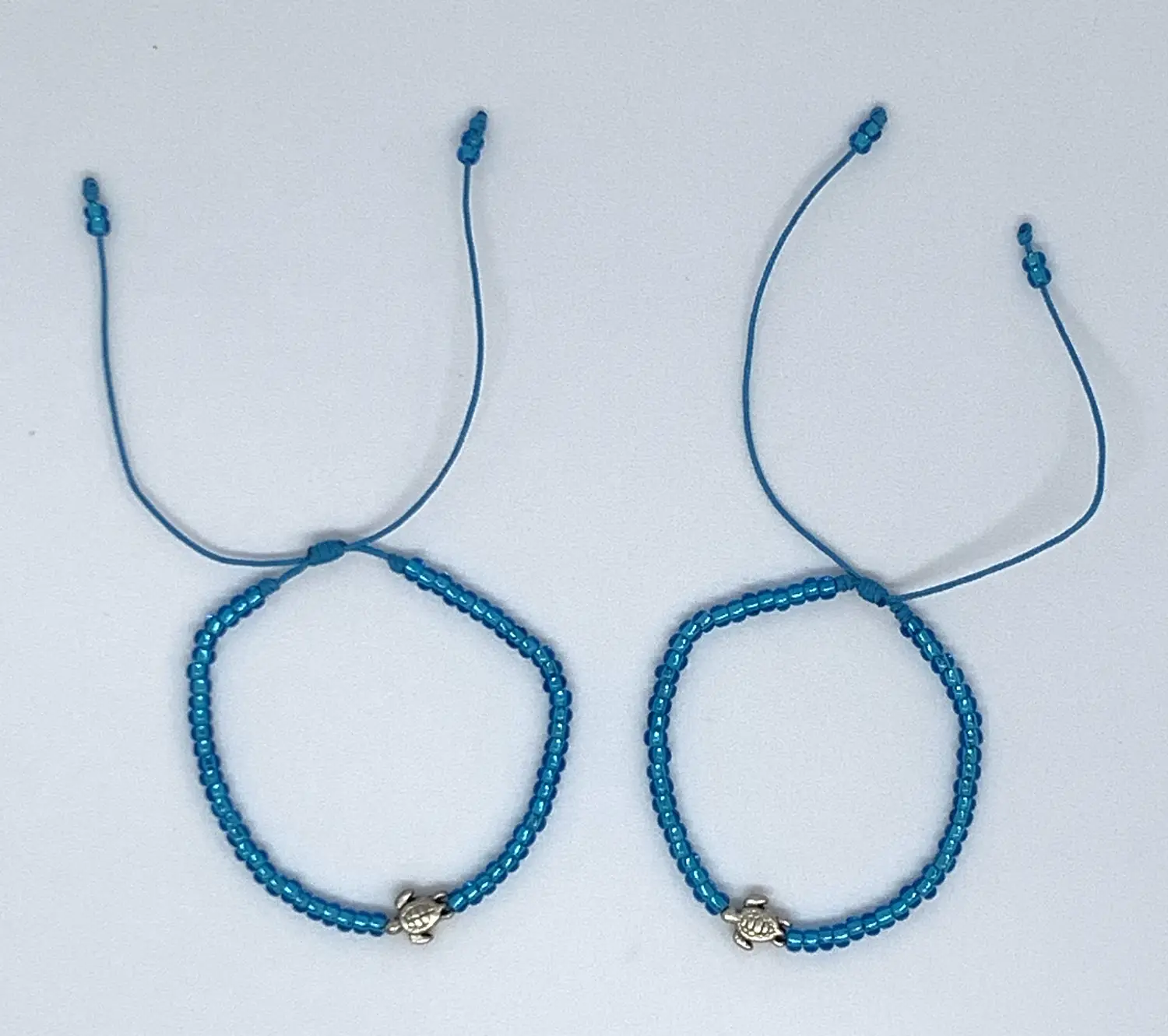 Manilla azul - tortuga